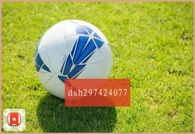 dsh297424077