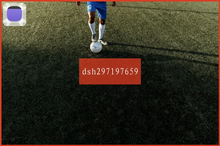 dsh297197659