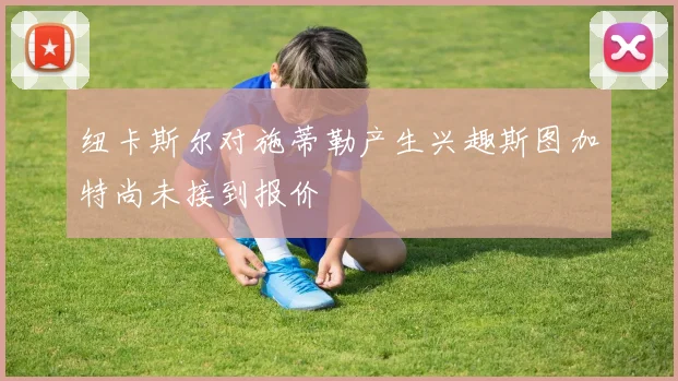 纽卡斯尔对施蒂勒产生兴趣斯图加特尚未接到报价